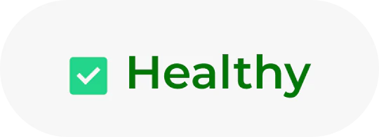 healthy icon